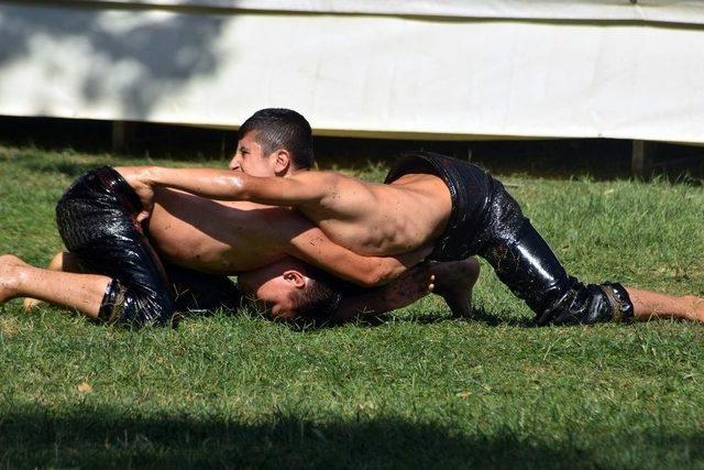 H&uuml;seyin Pehlivan Yağlı G&uuml;reşleri Başladı 2