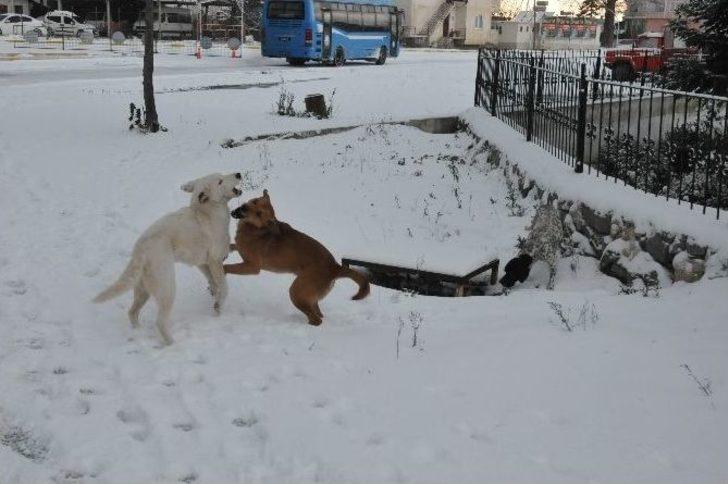 Akçakoca Karla Kaplandı G5