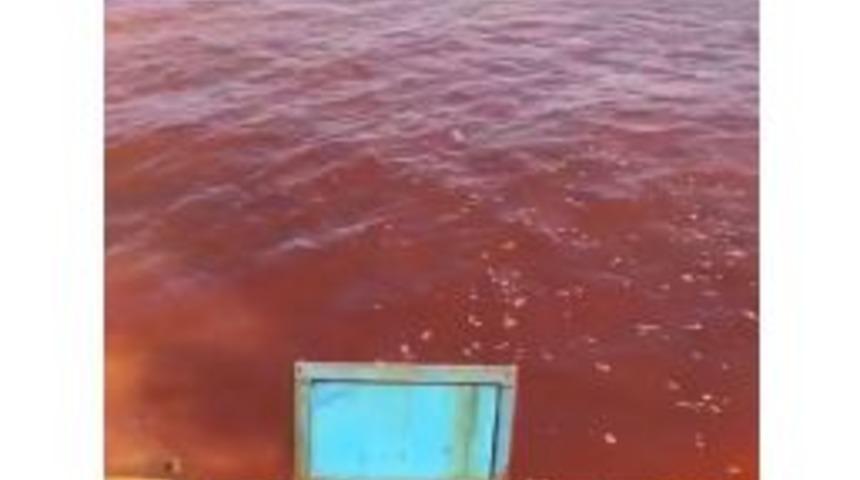 Yeni Foça’da Denizin Rengi Değişti