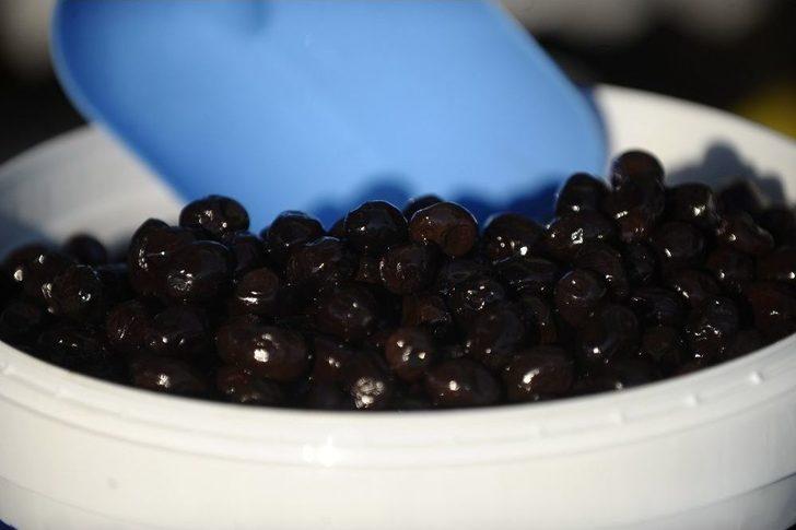 Gemlik’te Zeytin Festivali Coşkusu G1