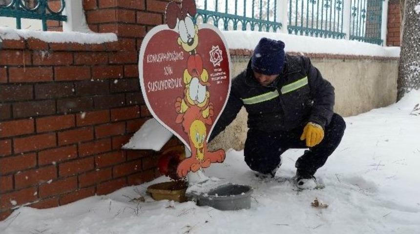 Meram Belediyesi&rsquo;nden Kuşlara Yem
