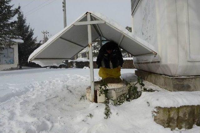 Meram Belediyesi’nden Kuşlara Yem