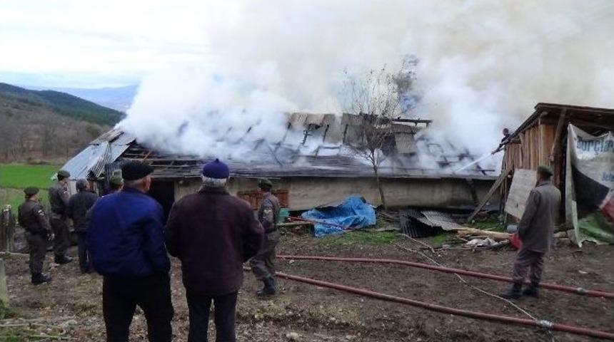 Bolu&rsquo;da Ev Ve Samanlık Alev Alev Yandı