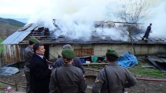 Bolu&rsquo;da Ev Ve Samanlık Alev Alev Yandı 2
