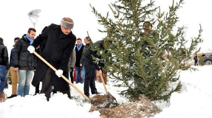 Pakistanlı Gen&ccedil; Fidanlar Ke&ccedil;i&ouml;ren Ormanı&rsquo;nda Yaşayacak