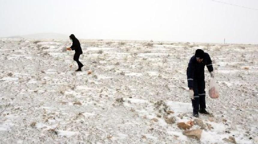 Kırşehir&rsquo;De Doğadaki Hayvanlar Unutulmadı