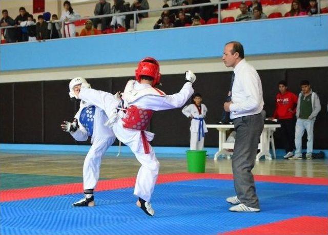 Anadolu Yıldızlar Ligi Tekvando Seçme Müsabakaları