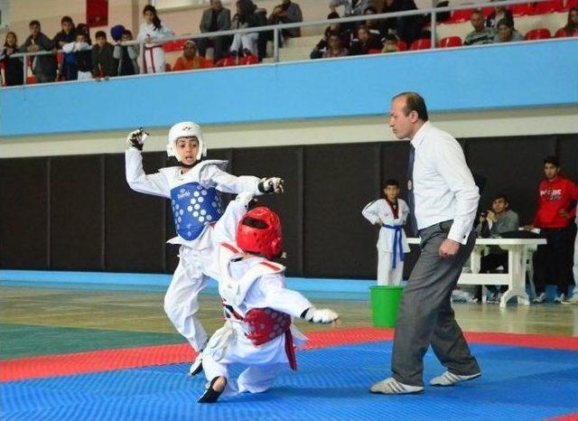 Anadolu Yıldızlar Ligi Tekvando Seçme Müsabakaları