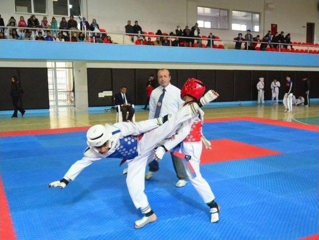 Anadolu Yıldızlar Ligi Tekvando Seçme Müsabakaları