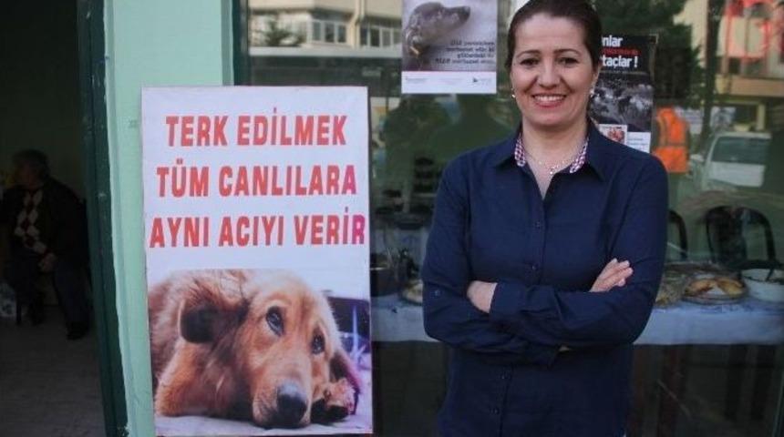 G&ouml;n&uuml;lden Hayvan Sevenler Derneğinden Kermes