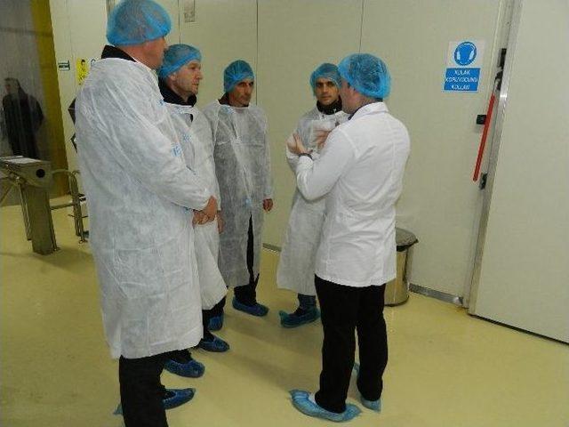 Bosnalı İş Adamları Besaş&rsquo;ın S&uuml;t Tesisini Gezdi 1