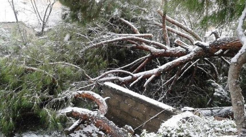 İzmit&rsquo;te 27 Adet Ağa&ccedil; Devirldi