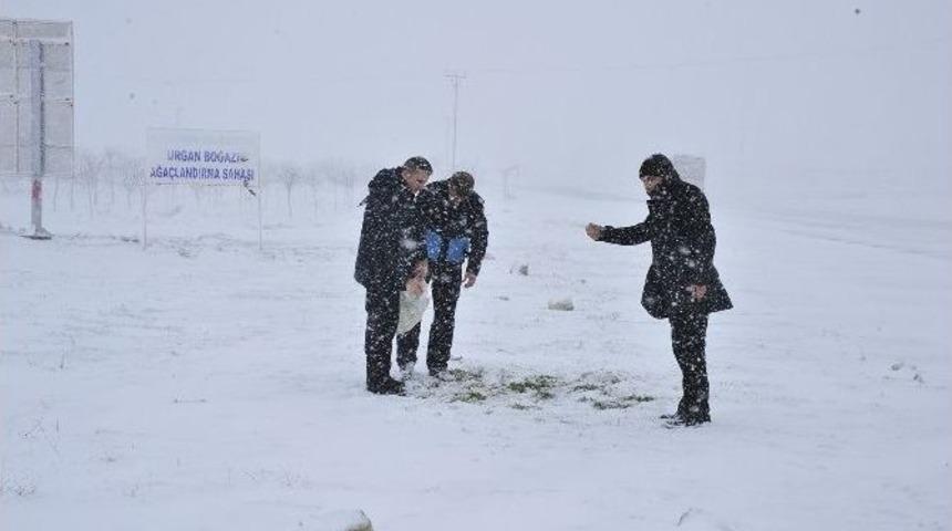 Karaman Belediyesi A&ccedil; Kalan Kuşlara Yem Bıraktı