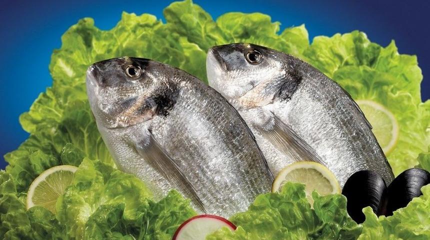 Su &Uuml;r&uuml;nleri İhracatına Bodrum&rsquo;dan 500 Milyon Dolarlık Katkı Hedefi