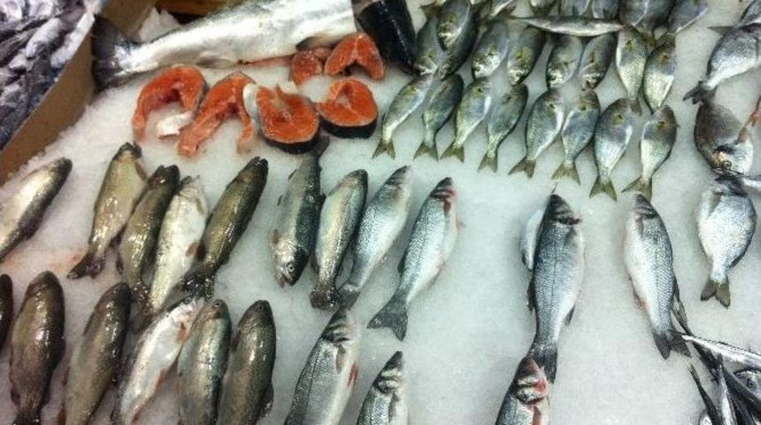 Tavşanlı&rsquo;da Balık Var, M&uuml;şteri Yok