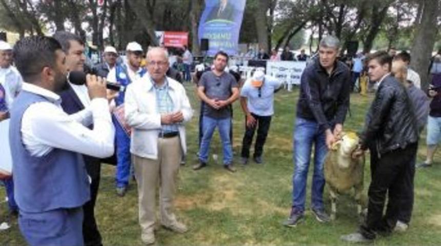 B&uuml;y&uuml;kşehir Belediye Başkanı G&uuml;reş Ağası Oldu