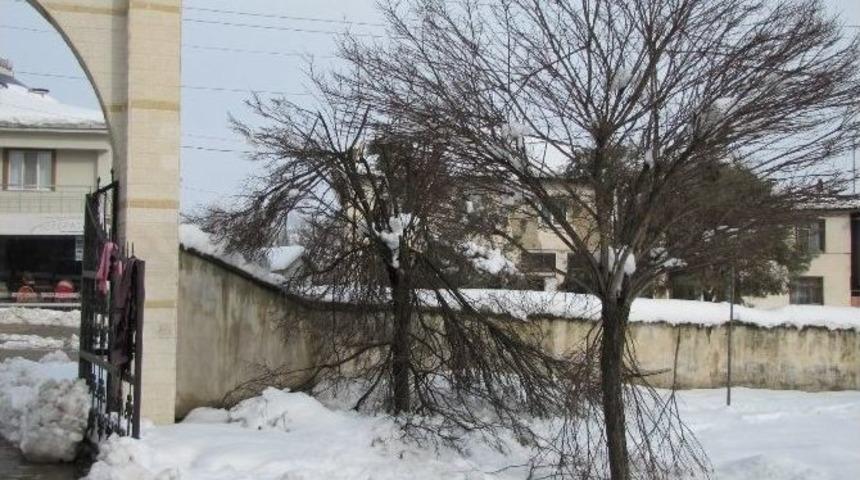 Hisarcık&rsquo;taki Yoğun Kar Ağa&ccedil;lara Zarar Verdi