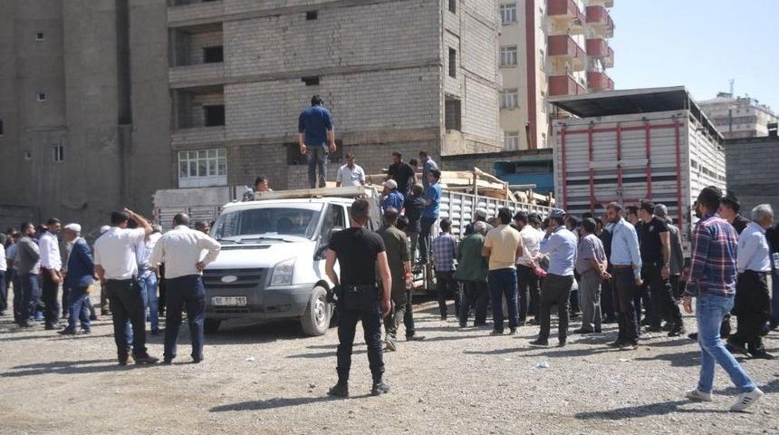 Y&uuml;ksekova&rsquo;da Gen&ccedil; &Ccedil;ift&ccedil;ilere D&uuml;ve Dağıtımı Yapıldı