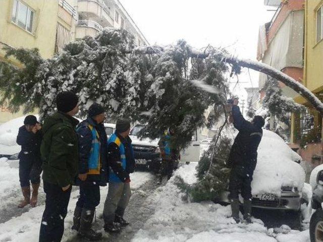 Denizli'de Kar Yağışı Durdu, Soğuk Dondurdu