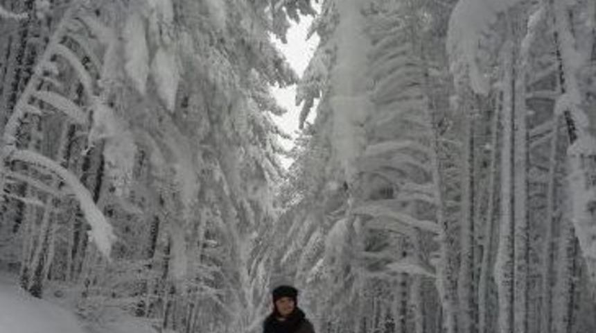 Uludağ&rsquo;da Karlı Ormanlar B&uuml;y&uuml;l&uuml;yor