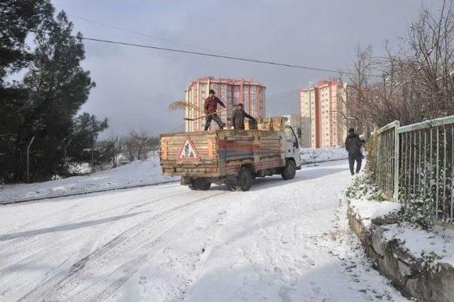 Belediyeden Kar Temziliği 1