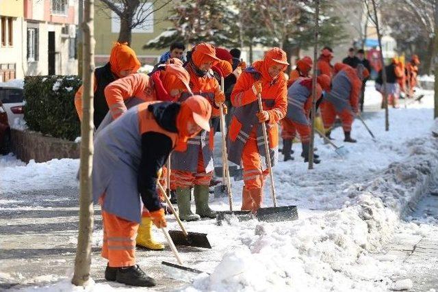 Kar Bitti, Temizliği Başladı