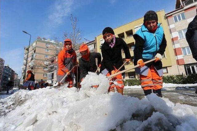 Kar Bitti, Temizliği Başladı