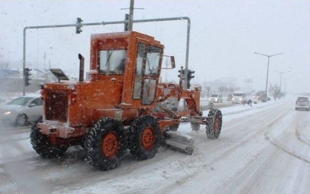 Kar Yağışı Kuşları Da Etkiledi