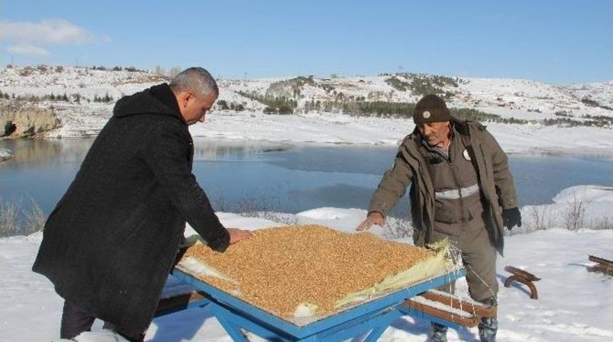 Yaban Hayvanları İ&ccedil;in Doğaya Yem Bırakılıyor