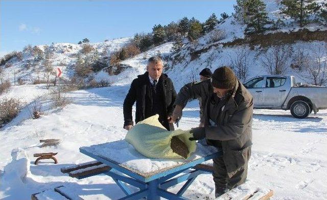 Yaban Hayvanları İçin Doğaya Yem Bırakılıyor