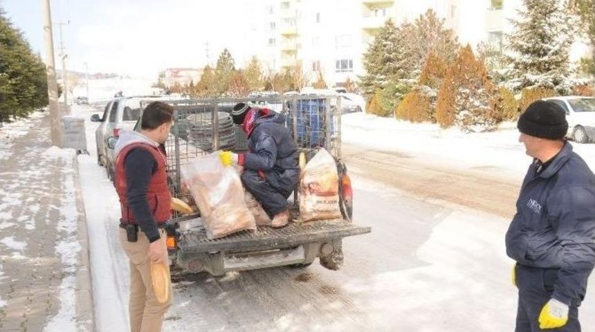 Niğde&rsquo;de Sokak Hayvanları Unutulmadı