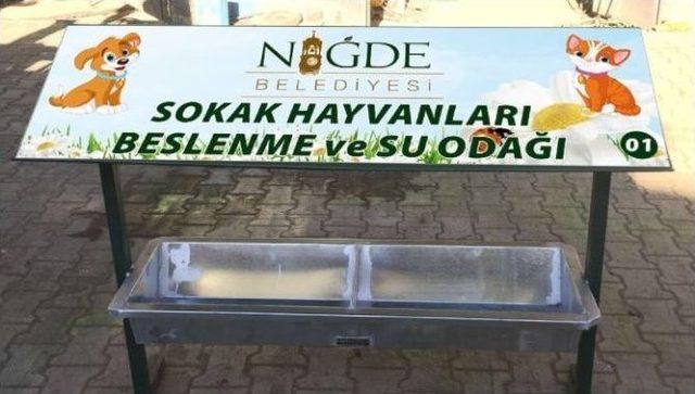 Niğde’de Sokak Hayvanları Unutulmadı