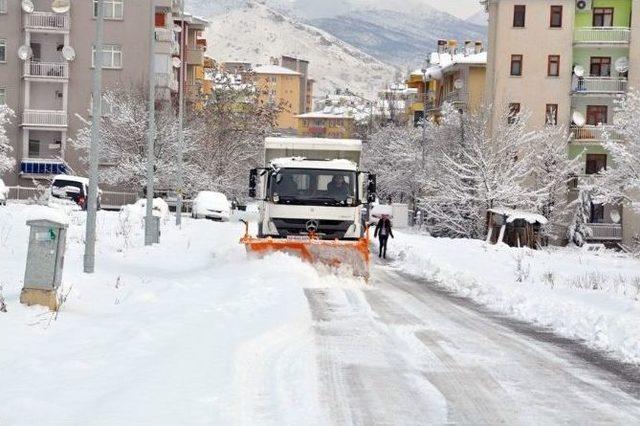 Olumsuz Hava Şartları Hayvanları Da Etkiliyor