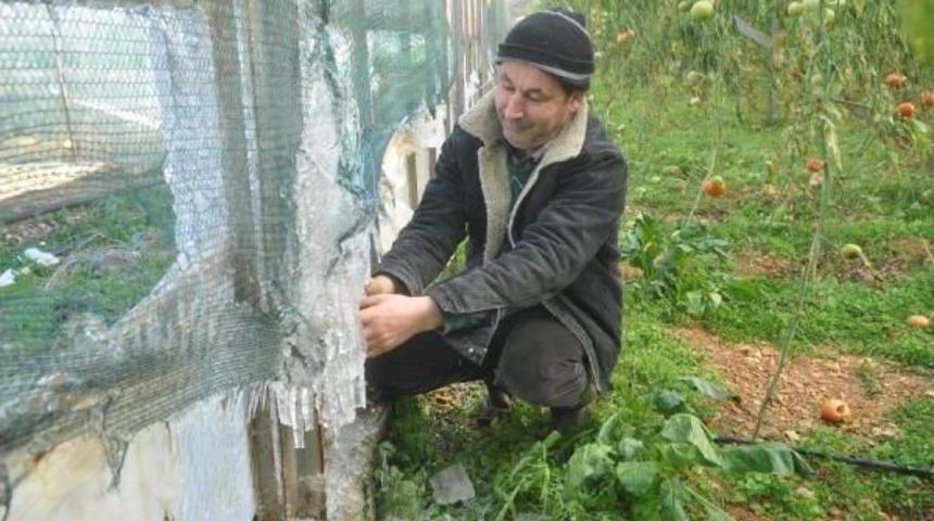 Anamur'da Seralar Buz Kesti