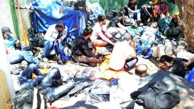 Milas'ta 91 Kaçak Yakalandı