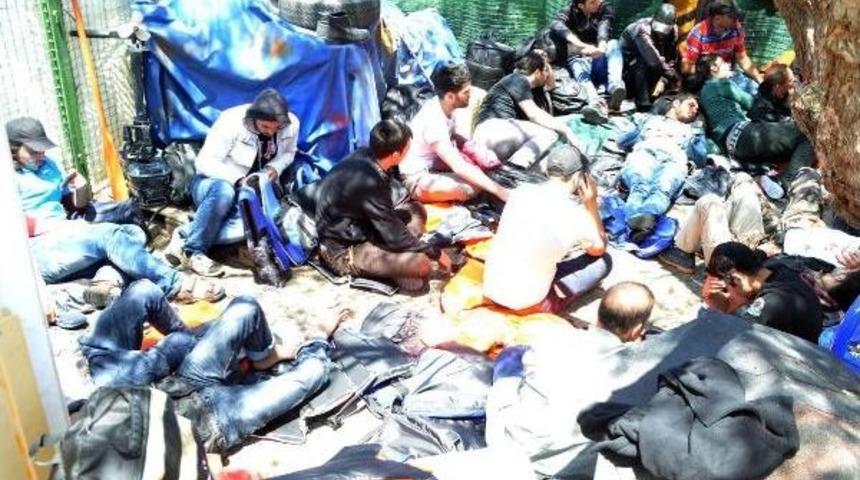 Milas'ta 91 Ka&ccedil;ak Yakalandı