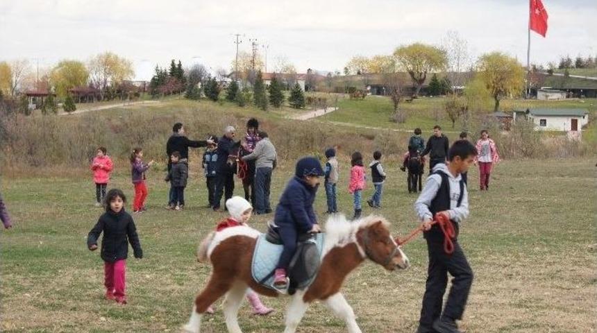 &Ccedil;ocukların Pony Sevgisi