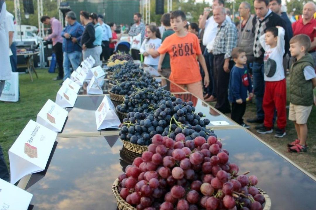 3. Trakya Bağ Bozumu Festivali&rsquo;nde &Uuml;z&uuml;m G&uuml;zeli Se&ccedil;ildi