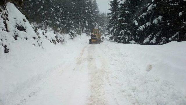 Ordu’da Kar 1 Metre