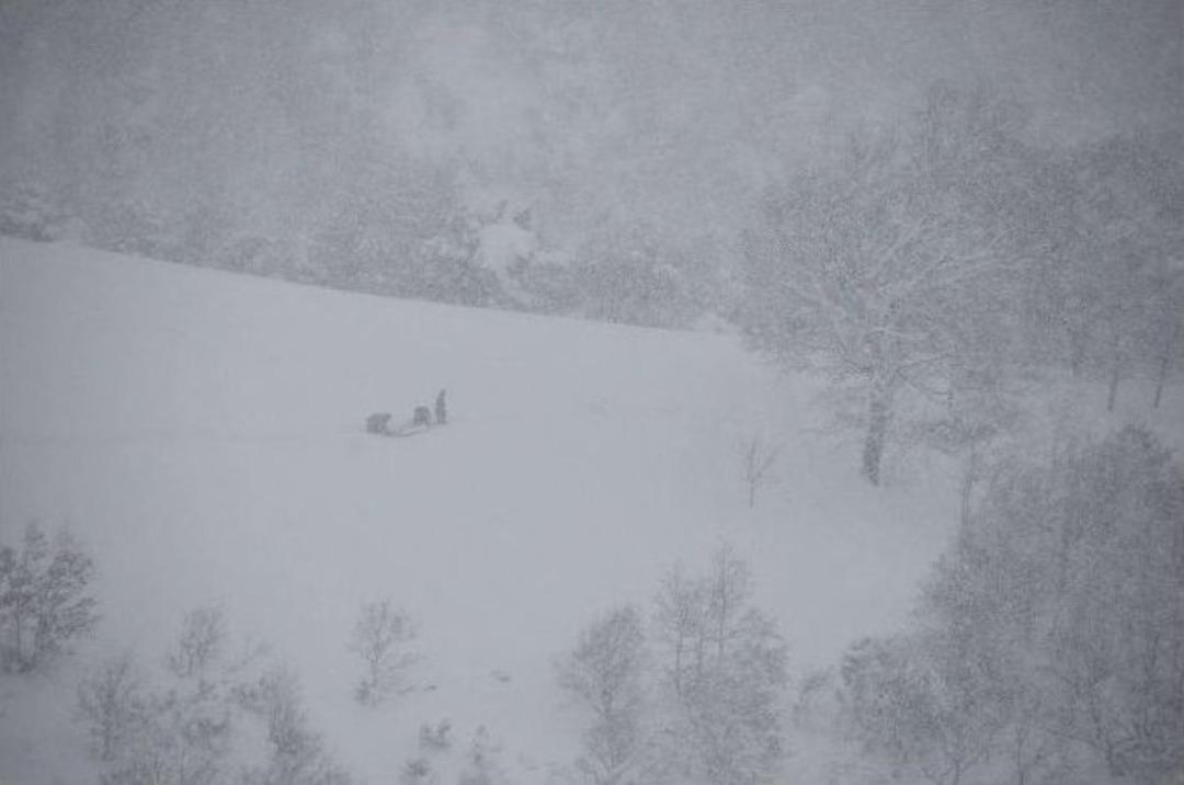 (&ouml;zel Haber) - Dağda &Ccedil;adırda Yaşayan Hamile Kadın İ&ccedil;in 30 Saatlik Karla Savaş