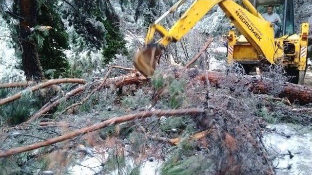 Kemalpaşa’da Yoğun Kış Mesaisi