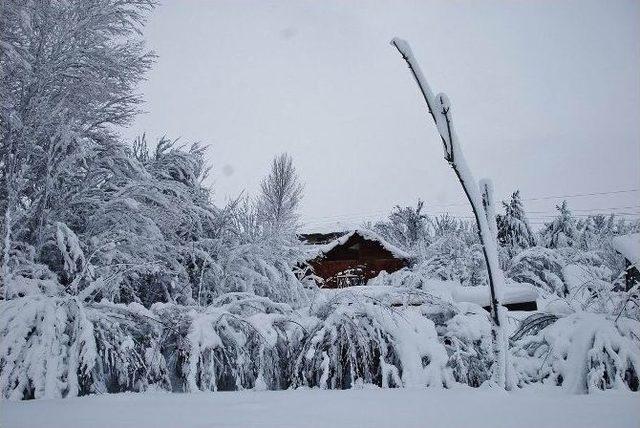 Gölova’da Kar Yağışı Etkili Olmaya Devam Ediyor