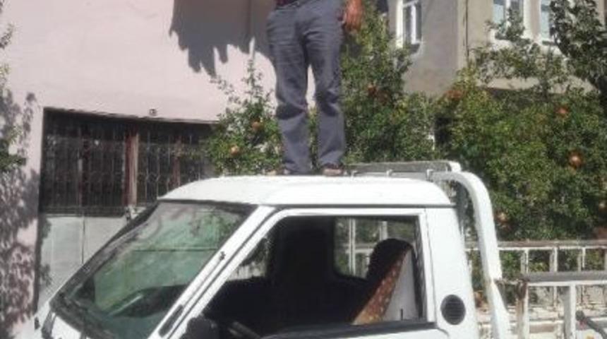 Telefonun Çekmesi İçin Yüksek Yer Arıyorlar