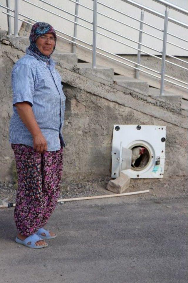 (özel Haber) Bozulan Çamaşır Makinesinin Kapağını Kümesine Kapı Yaptı