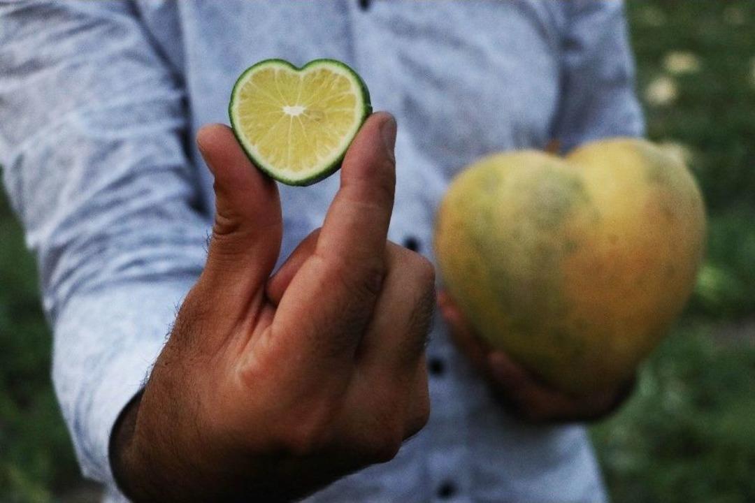 Şekle B&uuml;r&uuml;nen Meyveler İhracatta Servet Oldu