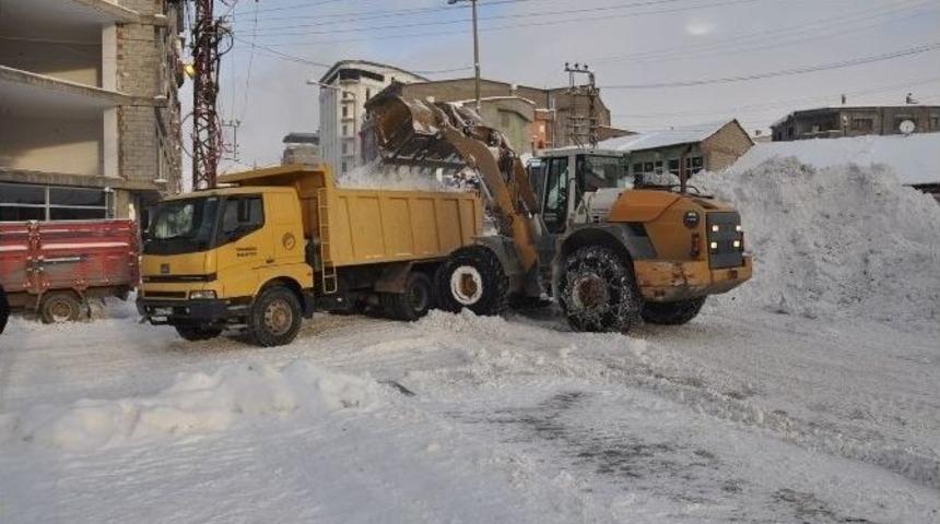 Y&uuml;ksekova&rsquo;da Karla M&uuml;cadele &Ccedil;alışması