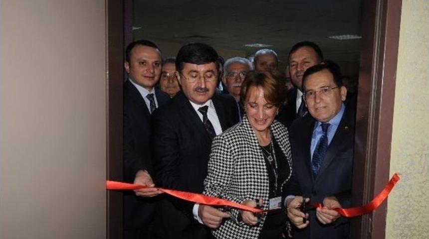 Anneler Artık Tedavi Gören Bebeklerinden Ayrı Kalmayacak