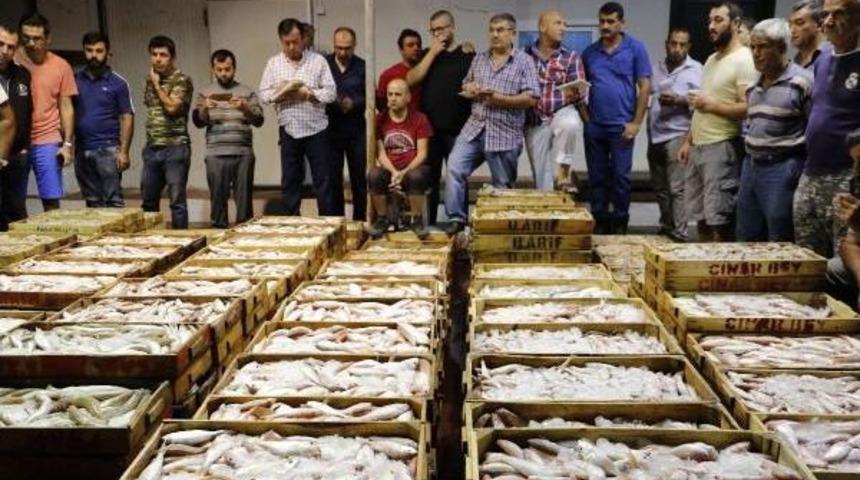 Balık Halinde 1 Kilo Tavuk Fiyatına Bir Kasa Balık