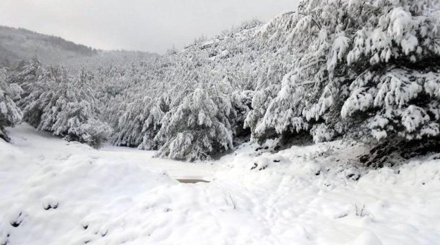Bozdoğan&rsquo;da Mahsur Kalan 3 &Ccedil;oban Kurtarıldı