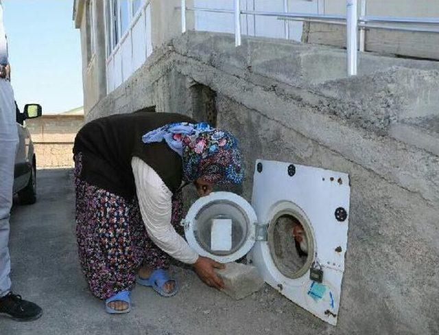 Çamaşır Makinesi Kapağını Kümes Kapısı Yaptı